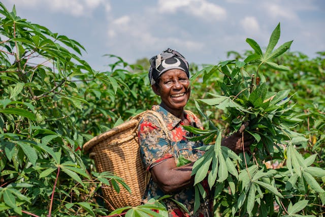 Solving the World’s Food and Hygiene Issues — Stop Throwing Your Seeds Away